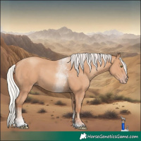 Horse Color:Silver Classic Champagne Tobiano Rabicano