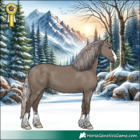 Horse Color:Silver Grullo 