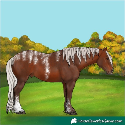 Horse Color:Powder White Silver Bay 