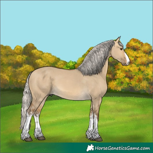 Horse Color:White Spotted Silver Buckskin Dun 