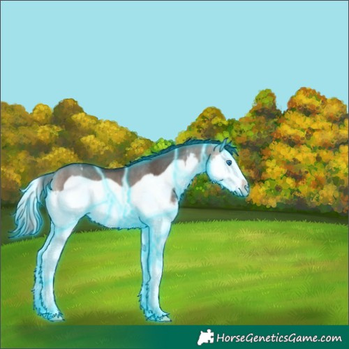 Horse Color:Thunderstruck Brown Dun Splash Frame Rabicano 