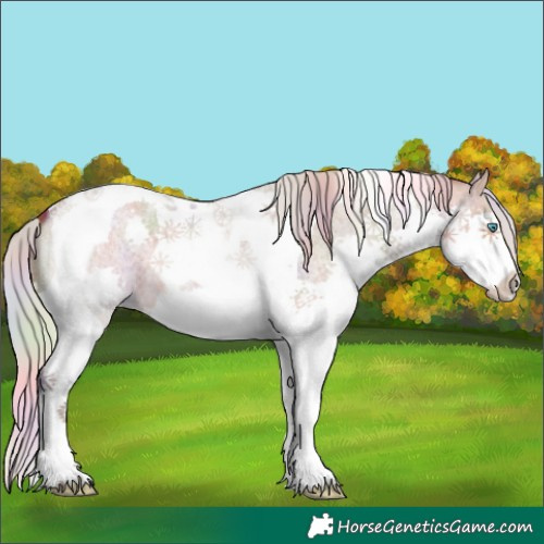 Horse Color:Nacre Silver Brown Roan Dun Splash Tobiano 