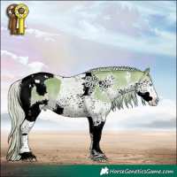 Horse Color:Watercolor Silver Brown Dun Splash Tobiano 