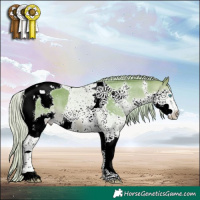 Horse Color:Watercolor Silver Brown Dun Splash Tobiano 