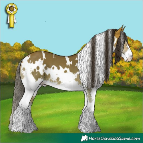 Horse Color:White Spotted Bay Dun Splash 