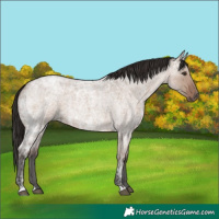 Horse Color:Liver Red Dun Ice Roan