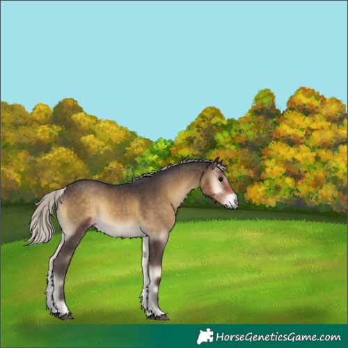Horse Color:Silver Smoky Blue Onyx Rabicano 