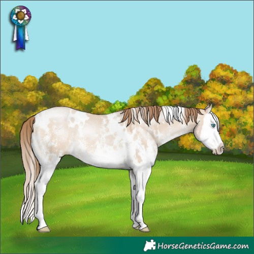 Horse Color:White Spotted Brown Pearl Dun Mushroom Sabino Splash 
