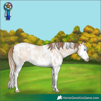 Horse Color:White Spotted Brown Pearl Dun Mushroom Sabino Splash 