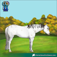 Horse Color:White Spotted Brown Dun Sabino Splash Frame Rabicano 