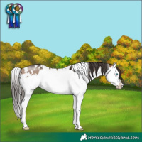 Horse Color:White Spotted Bay Dun Mushroom Splash