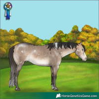 Horse Color:White Spotted Bay Dun Mushroom Splash 