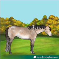 Horse Color:White Spotted Bay Dun Mushroom Splash 