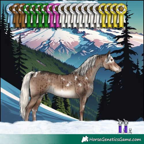 Horse Color:White Spotted Liver Red Dun Mushroom Rabicano Brindle 