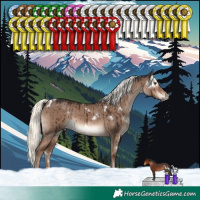 Horse Color:White Spotted Liver Red Dun Mushroom Rabicano Brindle 
