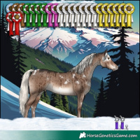 Horse Color:White Spotted Liver Red Dun Mushroom Rabicano Brindle
