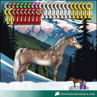 Horse Color:White Spotted Liver Red Dun Mushroom Rabicano Brindle
