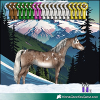 Horse Color:White Spotted Liver Red Dun Mushroom Rabicano Brindle 