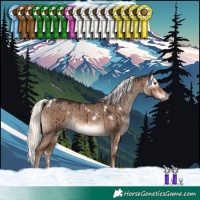 Horse Color:White Spotted Liver Red Dun Mushroom Rabicano Brindle