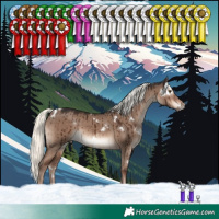 Horse Color:White Spotted Liver Red Dun Mushroom Rabicano Brindle 