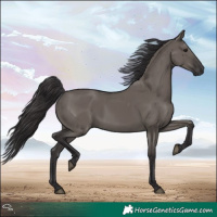 Horse Color:Smoky Grullo 