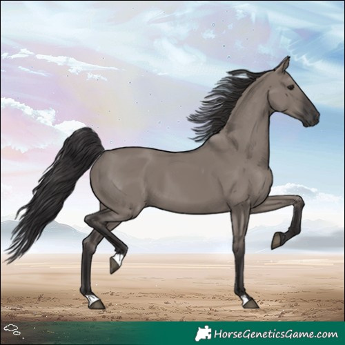 Horse Color:Smoky Grullo 