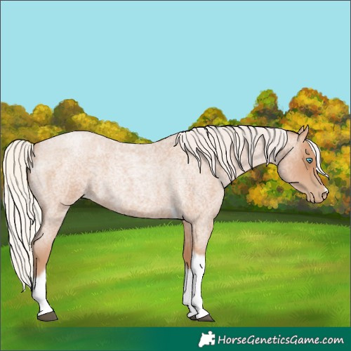 Horse Color:Silver Blue Roan Pearl Tobiano Frame 