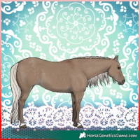 Horse Color:Silver Grullo 