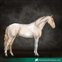 Horse Color:Red Roan Pearl Tobiano Frame 