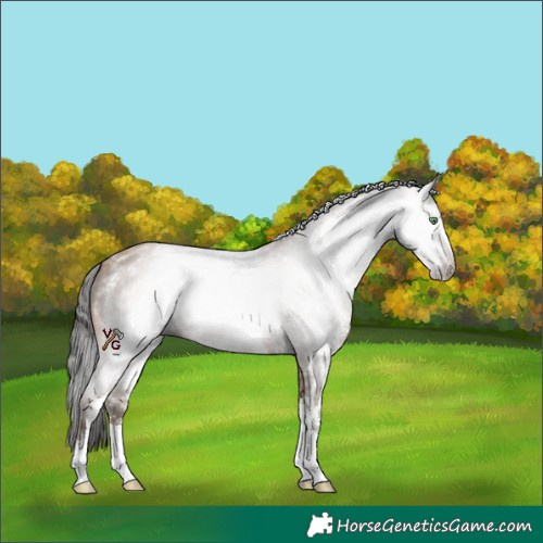 Horse Color:Gray Amber Champagne Sabino 