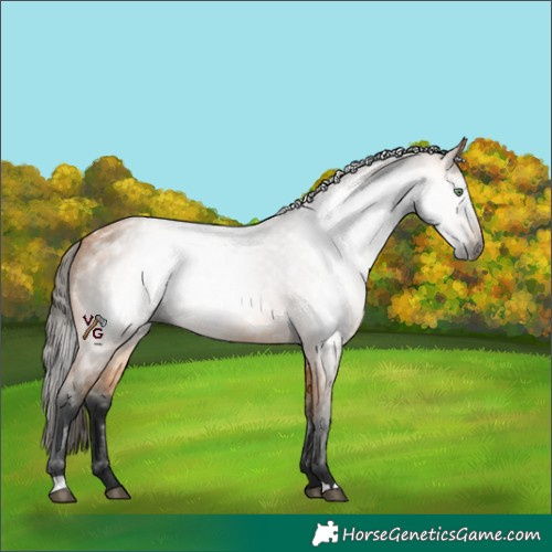 Horse Color:Gray Buckskin Roan Rabicano 