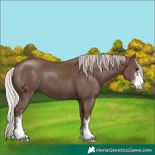 Horse Color:Silver Black Sabino 
