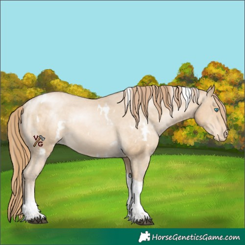 Horse Color:White Spotted Bay Snowdrop Pearl Tobiano Varnish Rabicano 