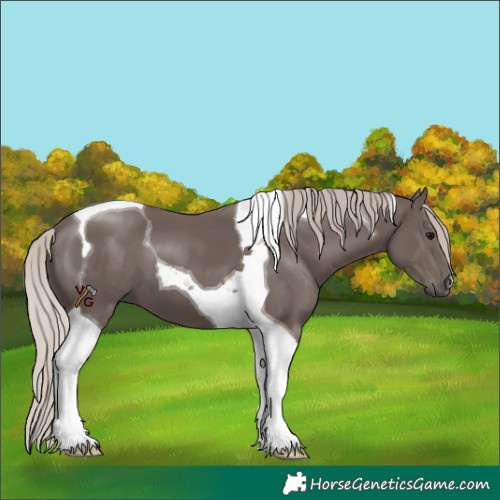 Horse Color:Silver Black Tobiano 