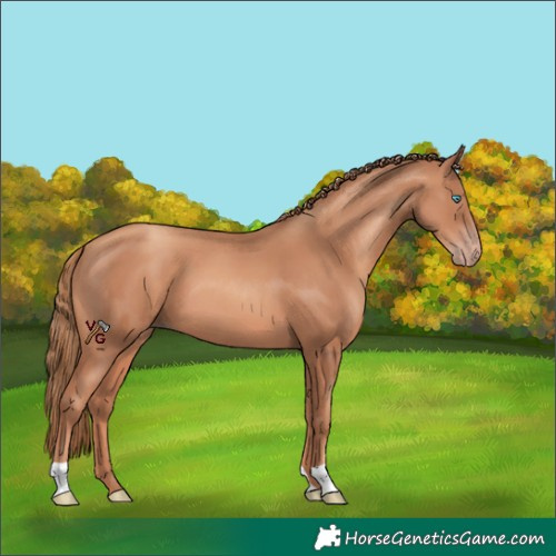 Horse Color:Gold Champagne 