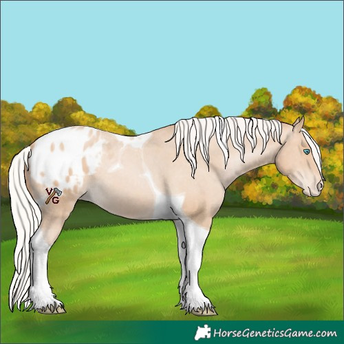 Horse Color:Silver Smoky Black Pearl Tobiano Varnish 