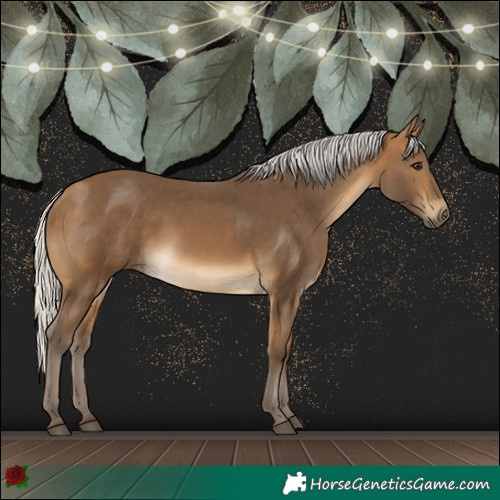 Horse Color:Silver Buckskin 