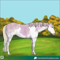 Horse Color:Watercolor Chestnut Ice Splash