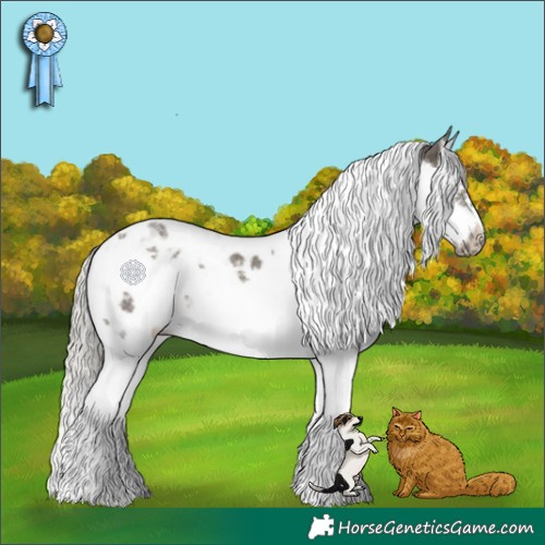 Horse Color:Silver Black Splash Tobiano Frame 