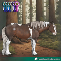 Horse Color:Silver Black Splash Tobiano