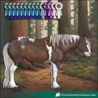 Horse Color:Silver Black Splash Tobiano 