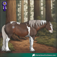 Horse Color:Silver Black Splash Tobiano