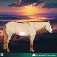 Horse Color:Red Dun Frame 