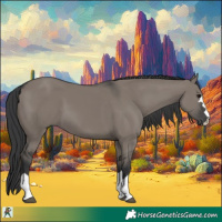 Horse Color:Grullo 