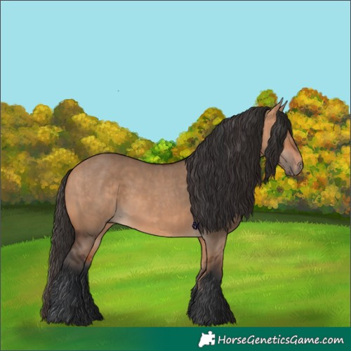 Horse Color:Bay Dun  and Bay Dun 