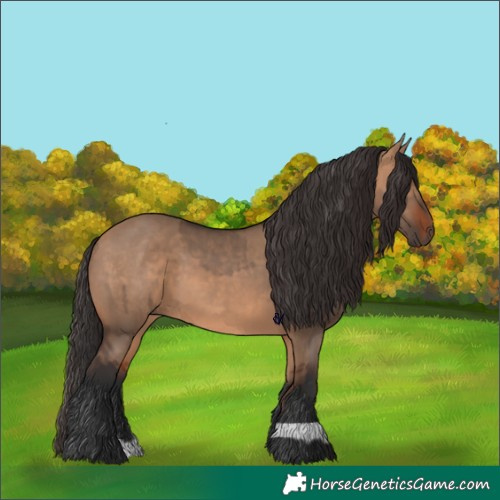 Horse Color:Brown Dun  and Bay Dun 