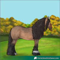 Horse Color:Brown Dun and Bay Dun