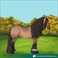 Horse Color:Brown Dun and Bay Dun