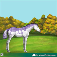 Horse Color:Watercolor Black Ice Splash Frame 