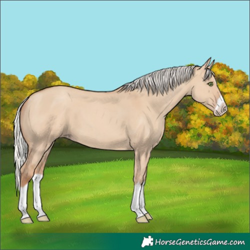 Horse Color:Silver Classic Champagne Dun Splash Frame